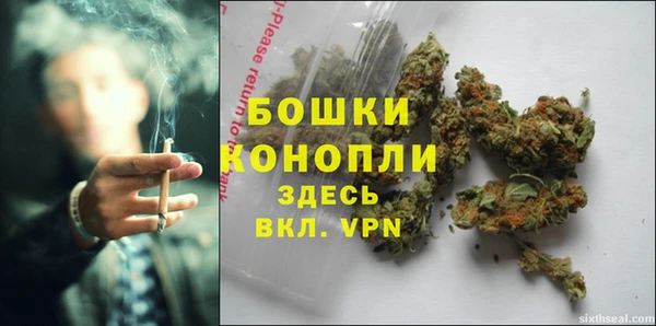 прущие грибы Баксан