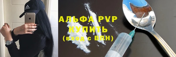 прущие грибы Баксан