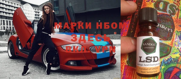 прущие грибы Баксан