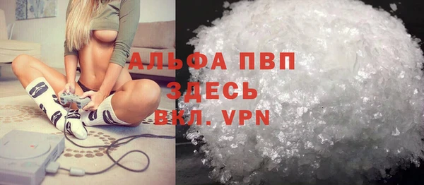прущие грибы Баксан